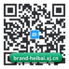 iPhone 与 iPad 专享端 二维码